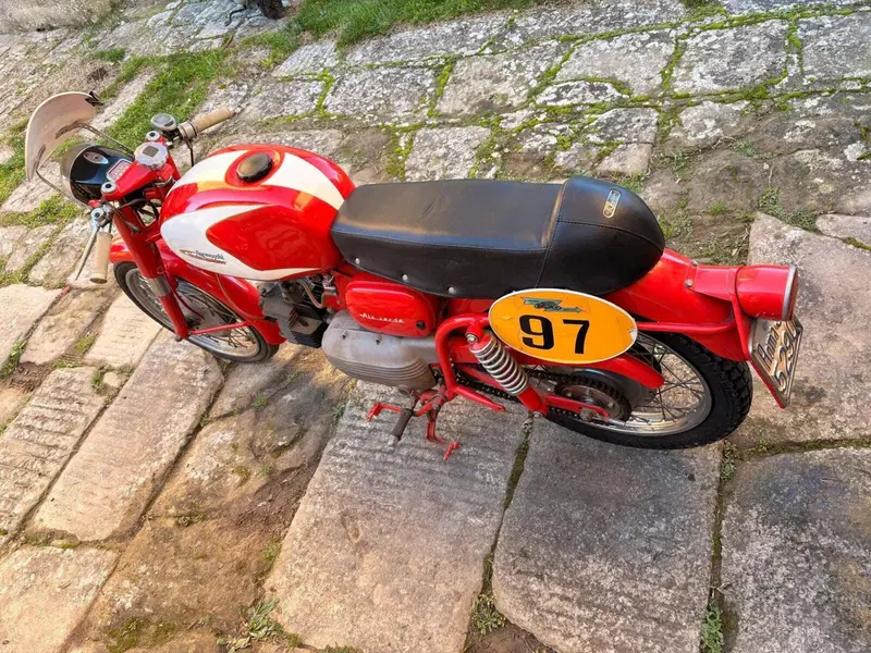Aermacchi Harley-Davidson Ala Verde (2)