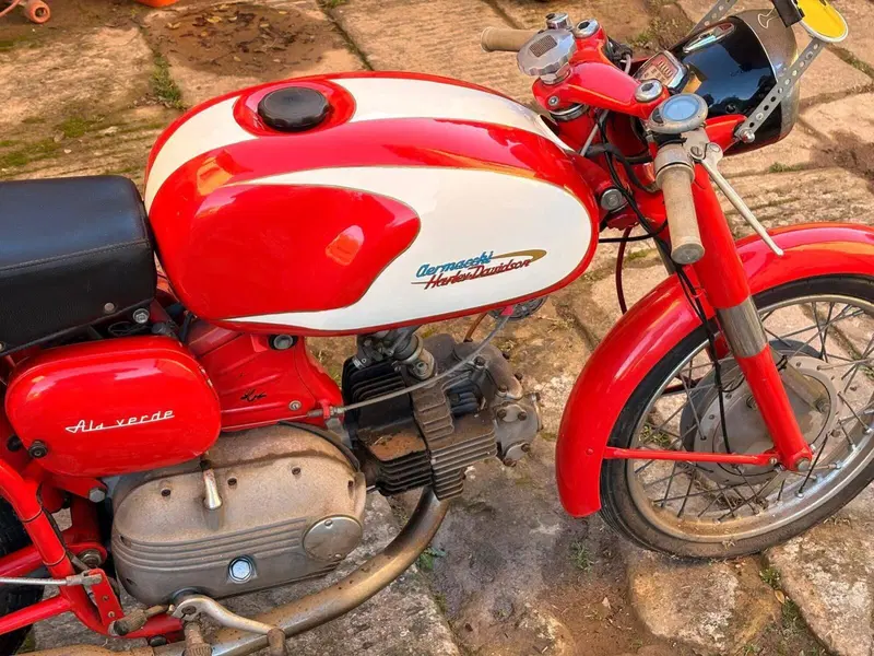 Aermacchi Harley-Davidson Ala Verde (4)