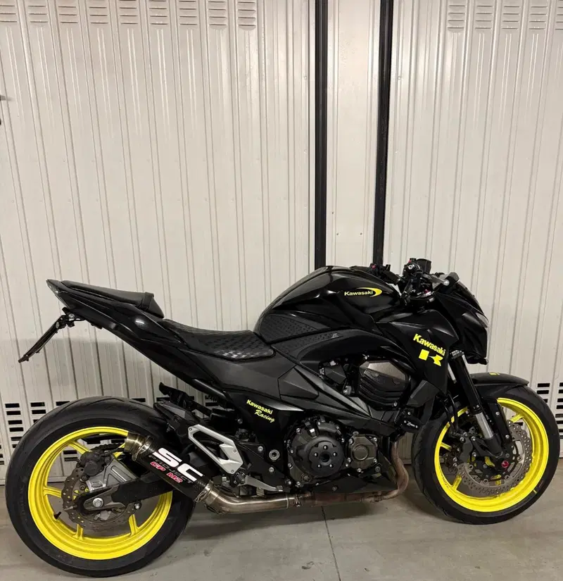 Kawasaki Z 800 Performance ABS (2013)