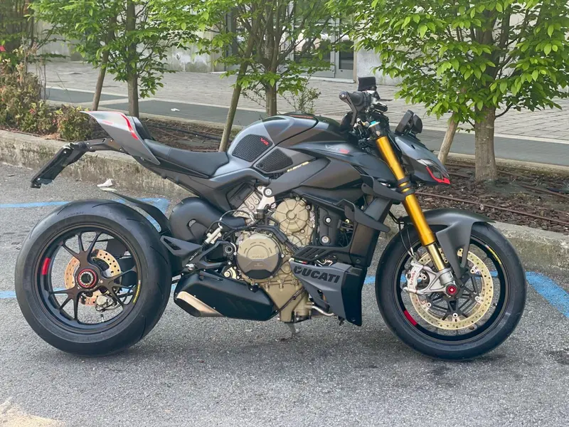 Ducati Streetfighter V4 S (2023 - 24) (20)