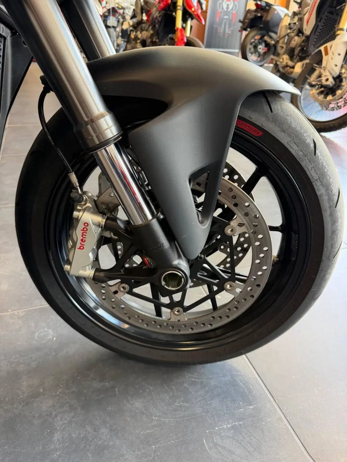 Ducati Streetfighter V4 (2025 - 26) (12)