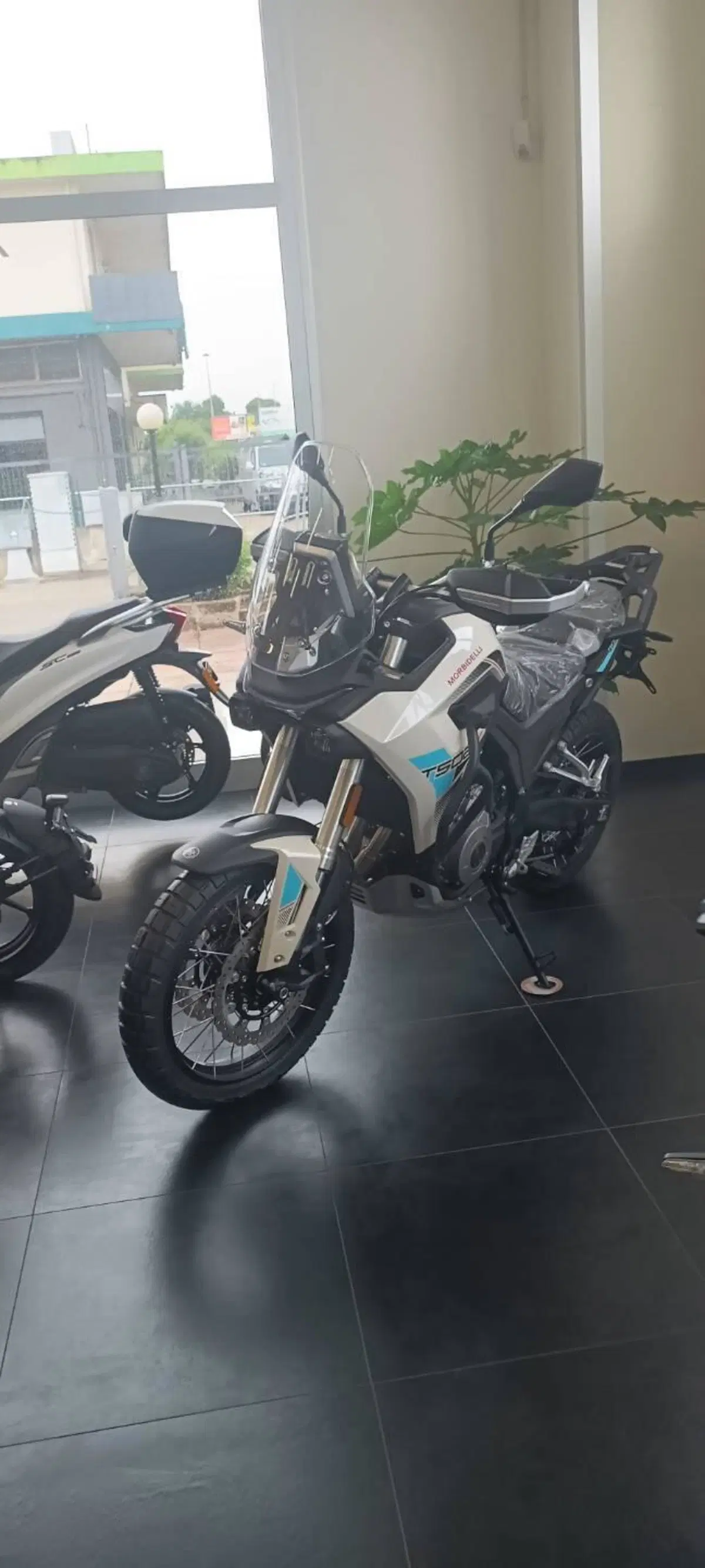 Morbidelli T502X (2026) (2)