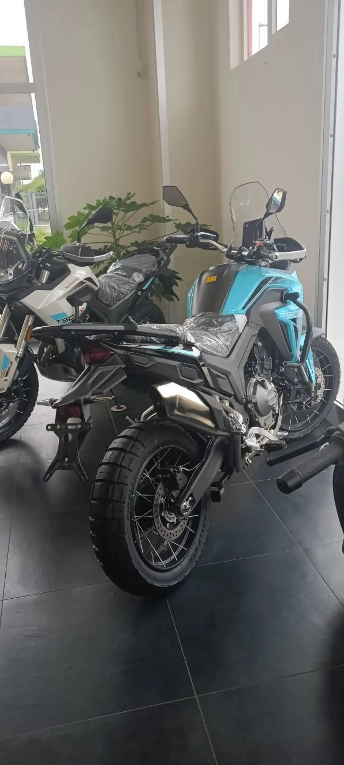 Morbidelli T502X (2026) (4)