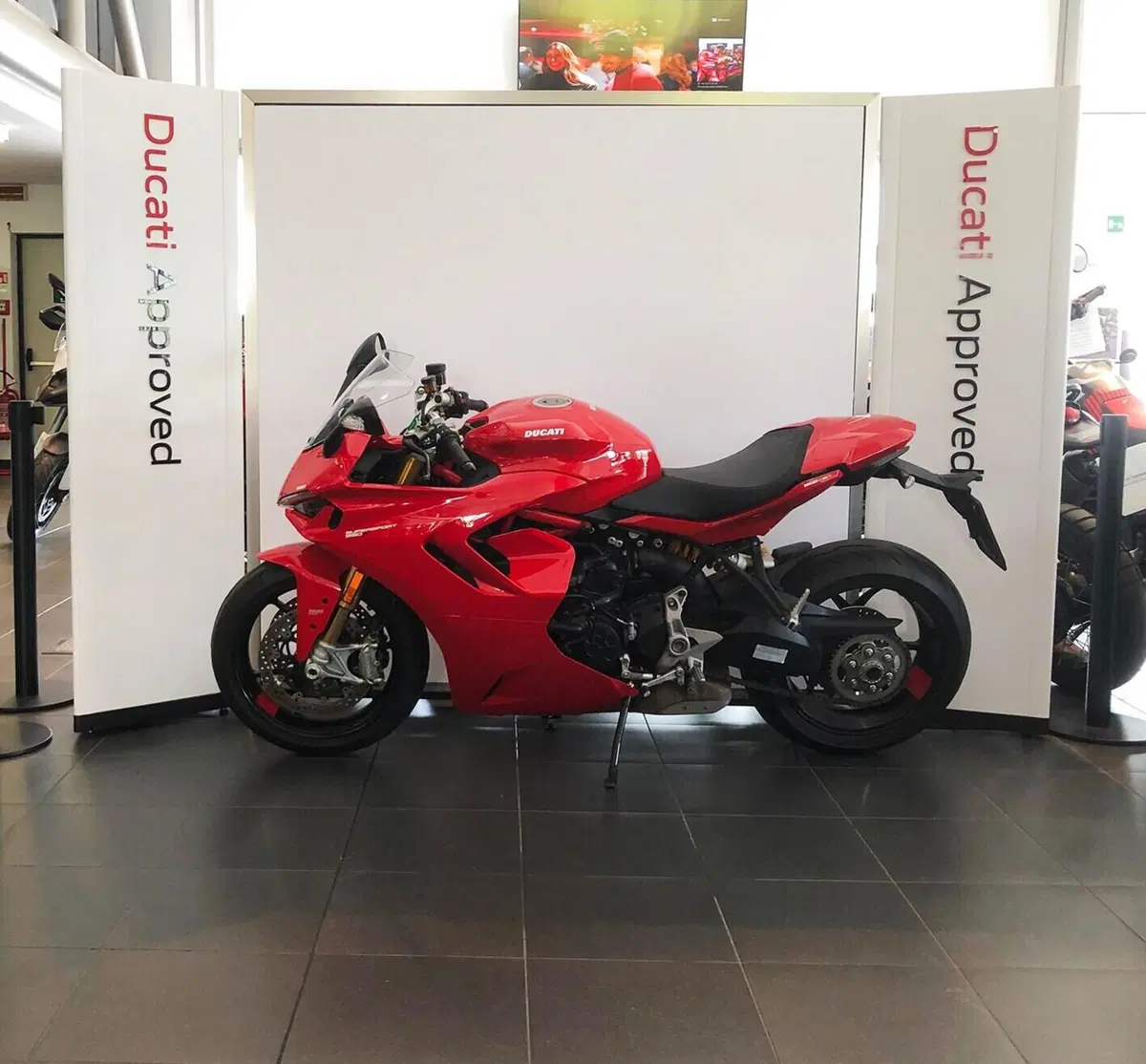 Ducati SuperSport 950 S (2021 - 24) (4)