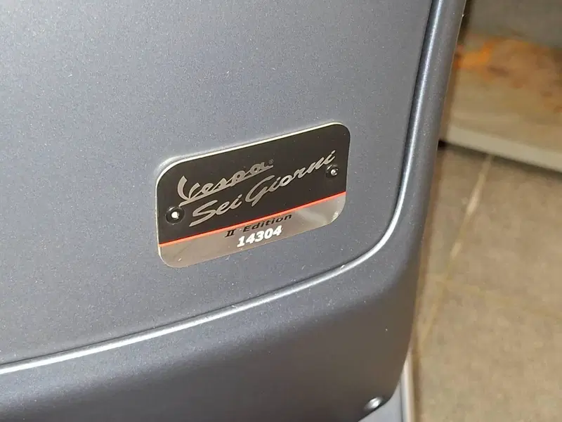 Vespa Sei Giorni 300 Hpe (2021 - 22) (3)