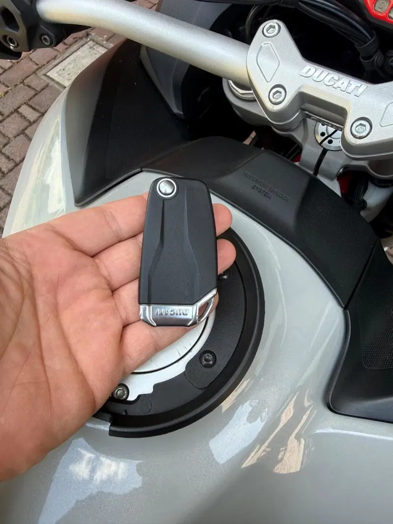 Ducati Multistrada 950 S (2019 - 20) (8)