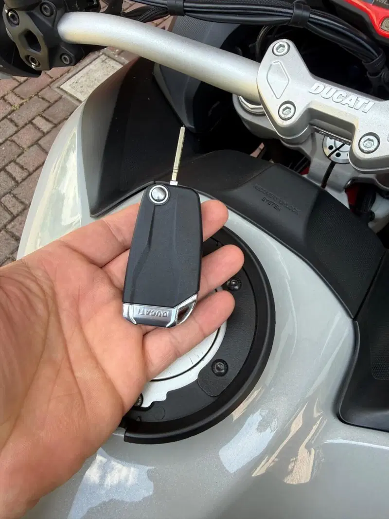 Ducati Multistrada 950 S (2019 - 20) (9)