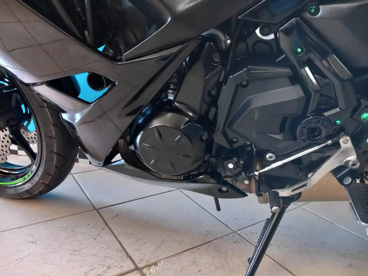 Kawasaki Ninja 650 (2017 - 19) (11)