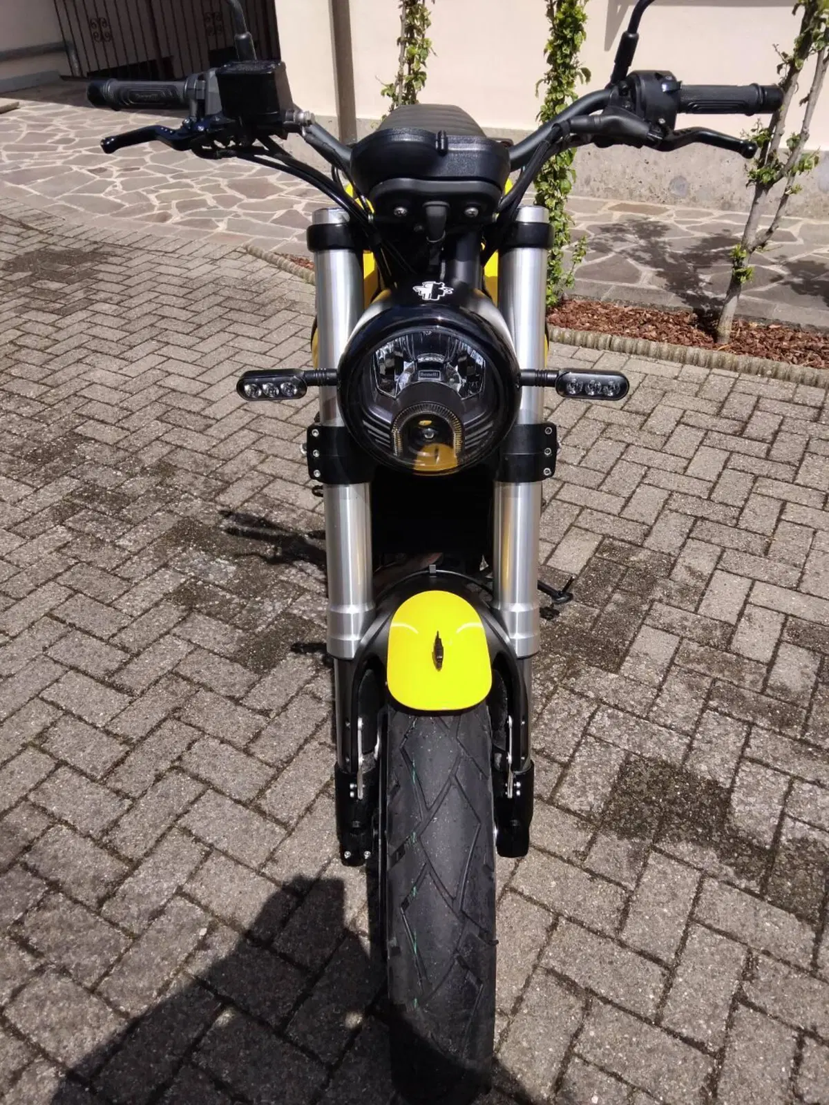 Benelli Leoncino 500 Trail (2021 - 26) (3)