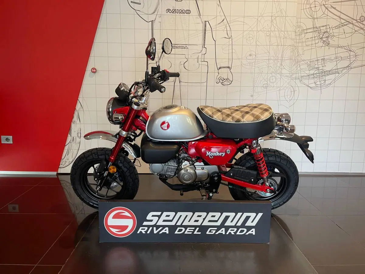 Honda Monkey 125 (2025 - 26) (5)