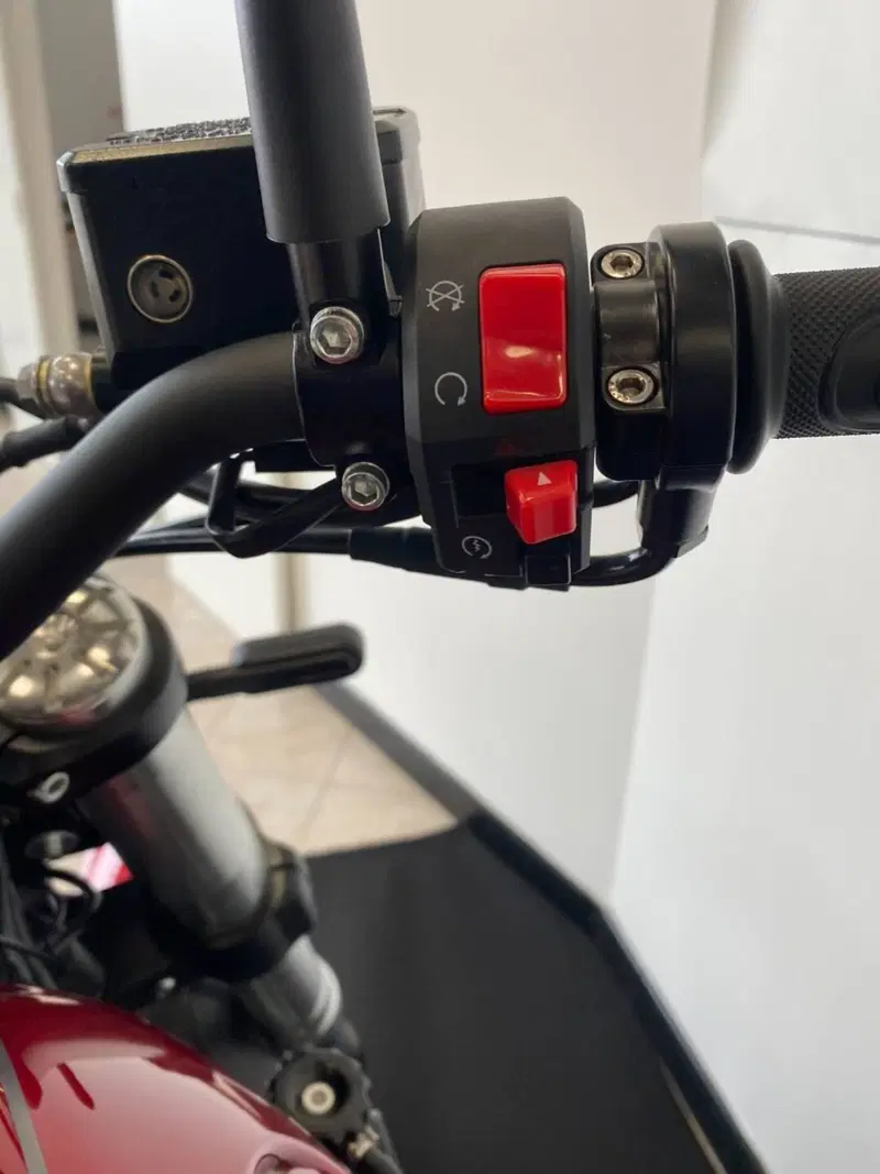 Benelli Leoncino 500 Trail (2021 - 26) (14)