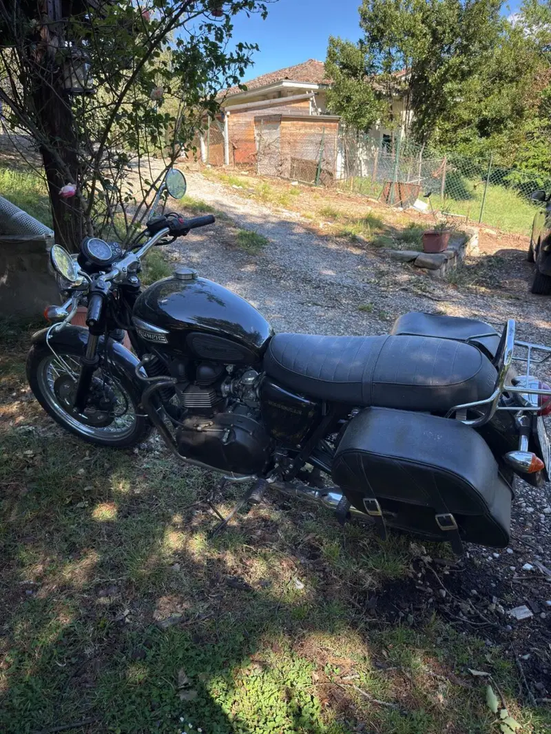 Triumph Bonneville 800 (2002 - 07) (2)