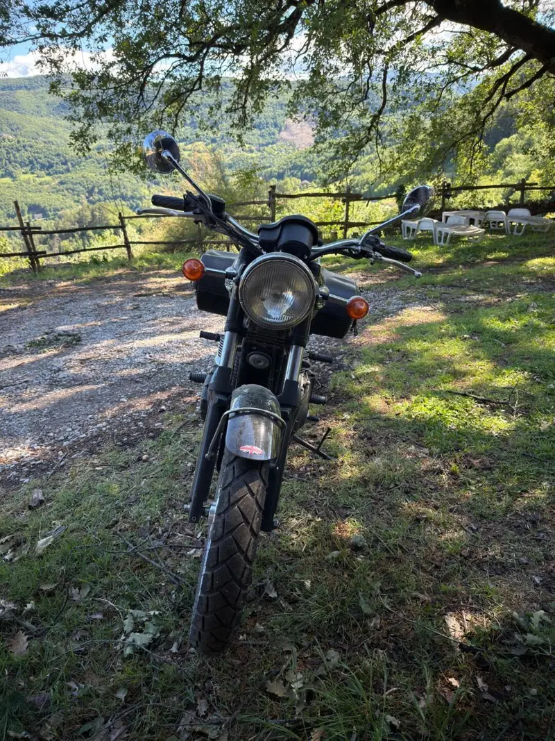 Triumph Bonneville 800 (2002 - 07) (3)