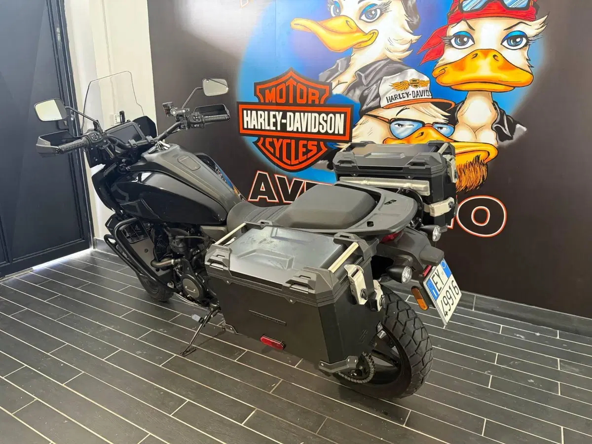 Harley-Davidson Pan America 1250 Special (2020 - 25) (4)