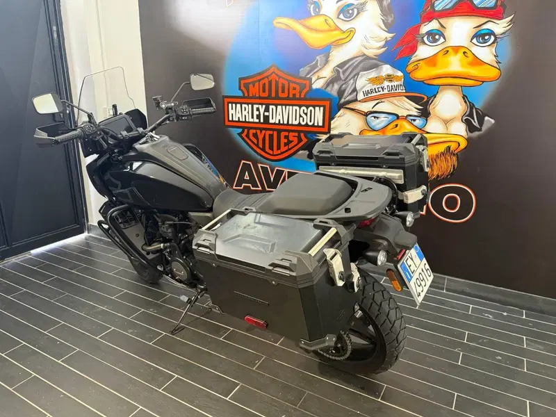 Harley-Davidson Pan America 1250 Special (2020 - 25) (4)