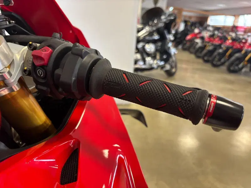 Ducati Panigale V4 S (2022 - 24) (14)