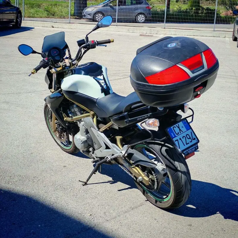 Kawasaki ER-6N (2006 - 09) (3)