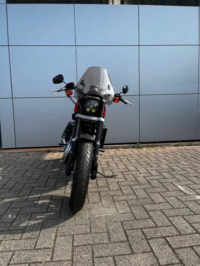 Harley-Davidson 1200 XR (2009 - 12) usata