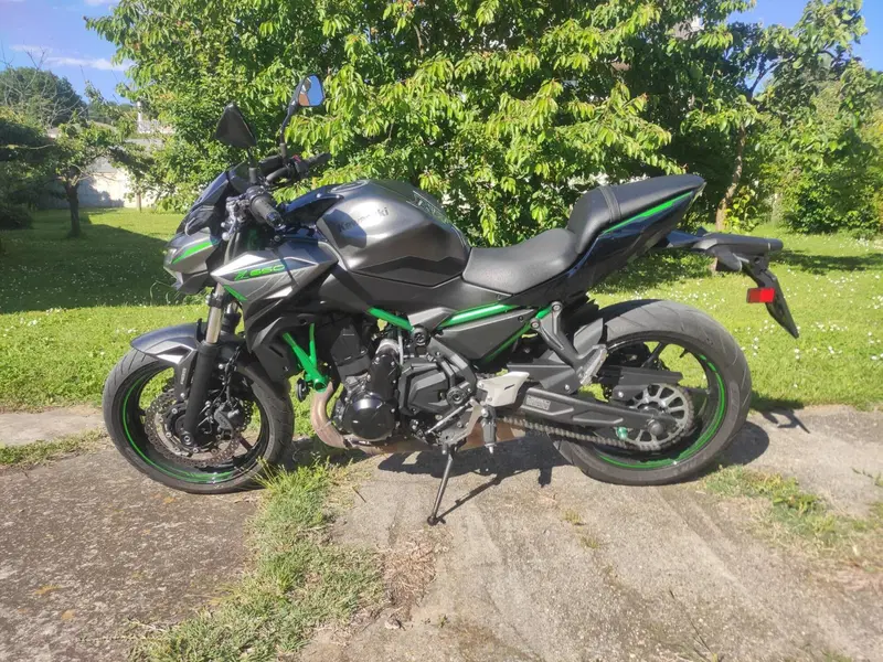 Kawasaki Z 650 (2021 - 24)