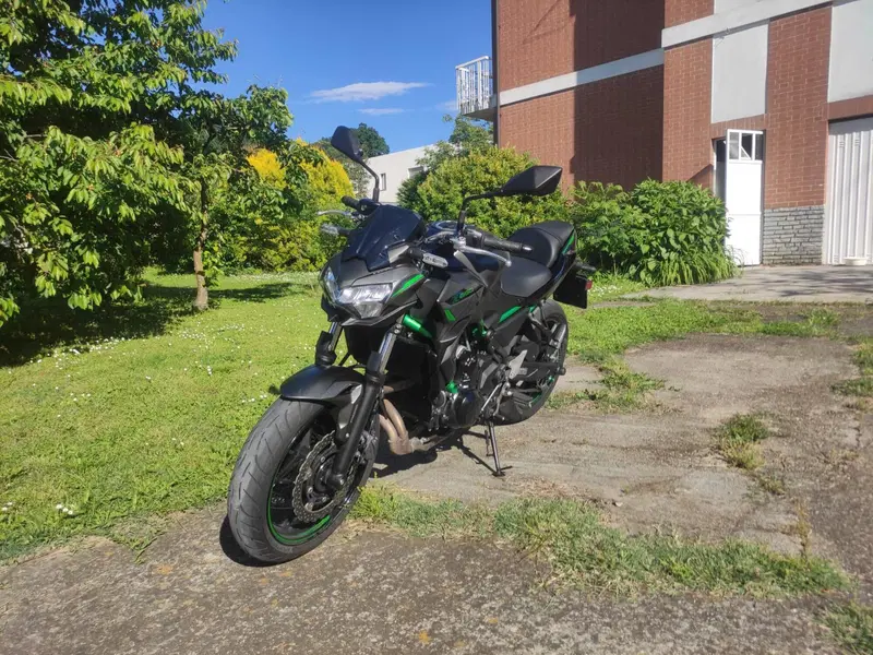Kawasaki Z 650 (2021 - 24) (2)