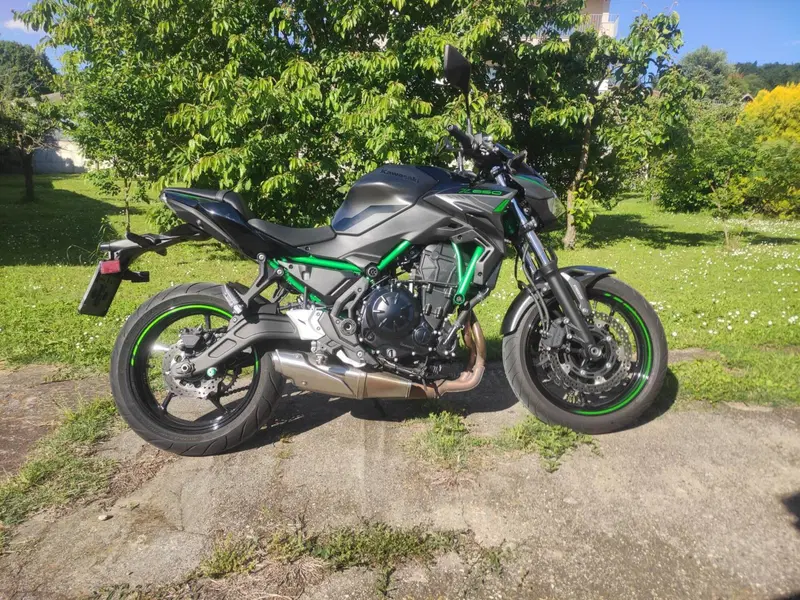 Kawasaki Z 650 (2021 - 24) (4)