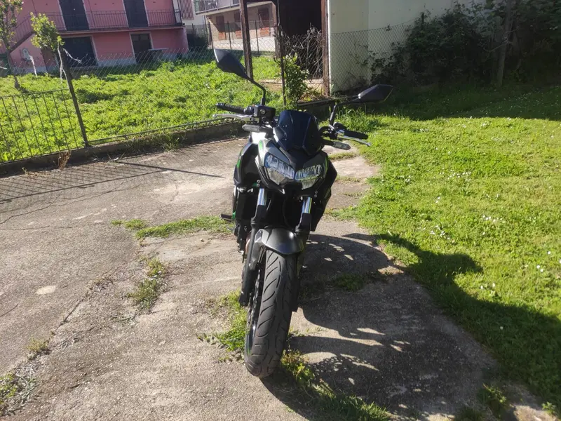 Kawasaki Z 650 (2021 - 24) (5)