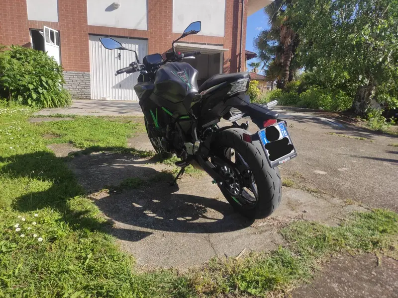 Kawasaki Z 650 (2021 - 24) (7)
