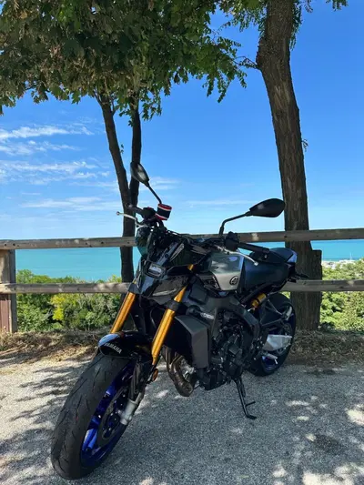 Yamaha MT-09 SP (2024 - 26) usata