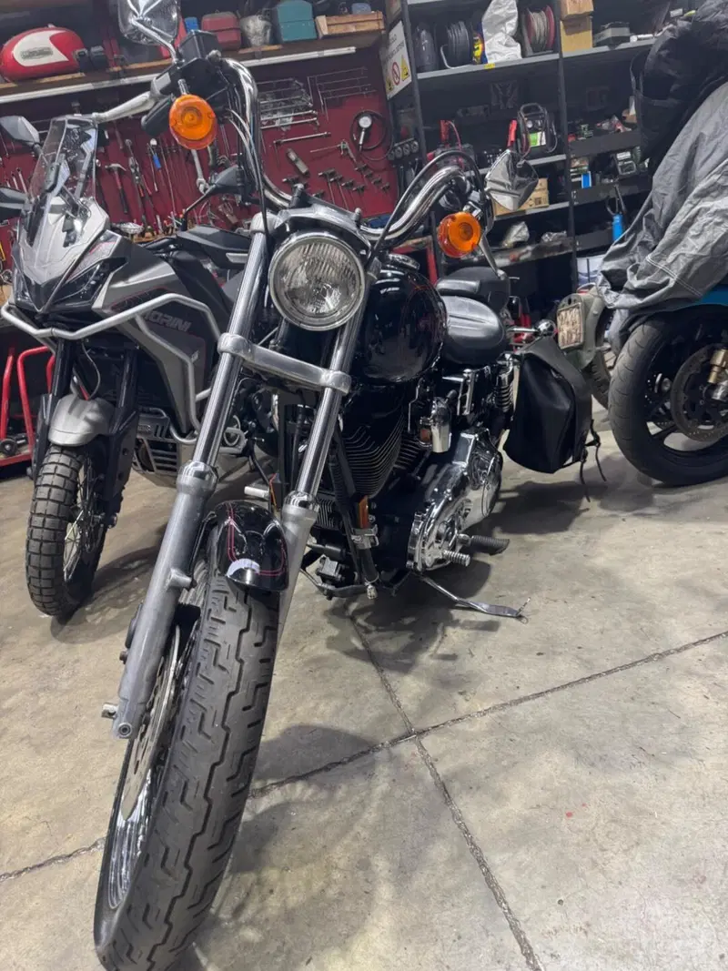 Harley-Davidson 1450 Low Rider (1999 - 03) - FXDL (5)
