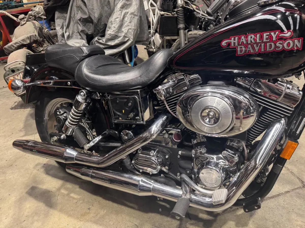 Harley-Davidson 1450 Low Rider (1999 - 03) - FXDL (9)