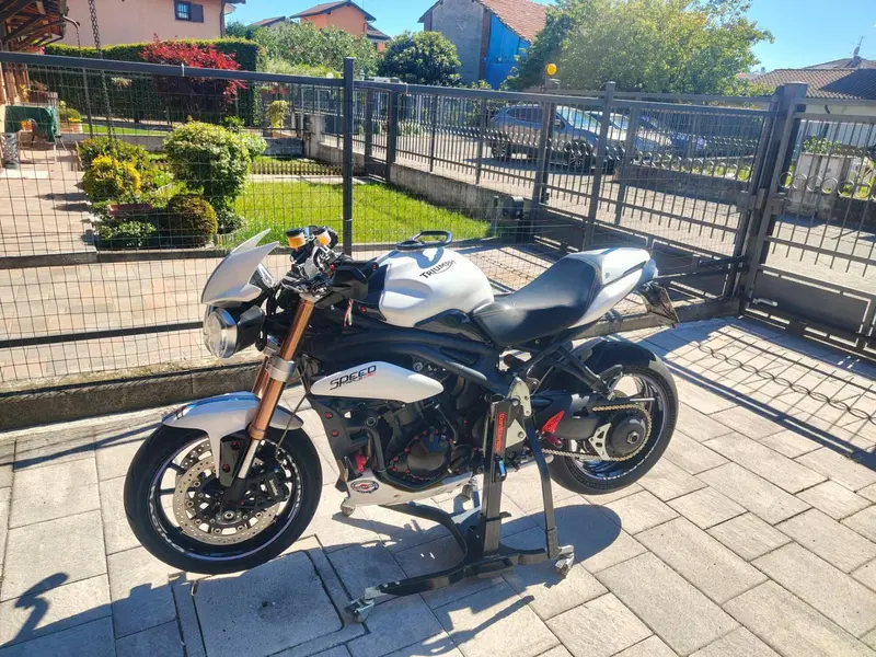 Triumph Speed Triple 1050 (2011 - 13) (2)