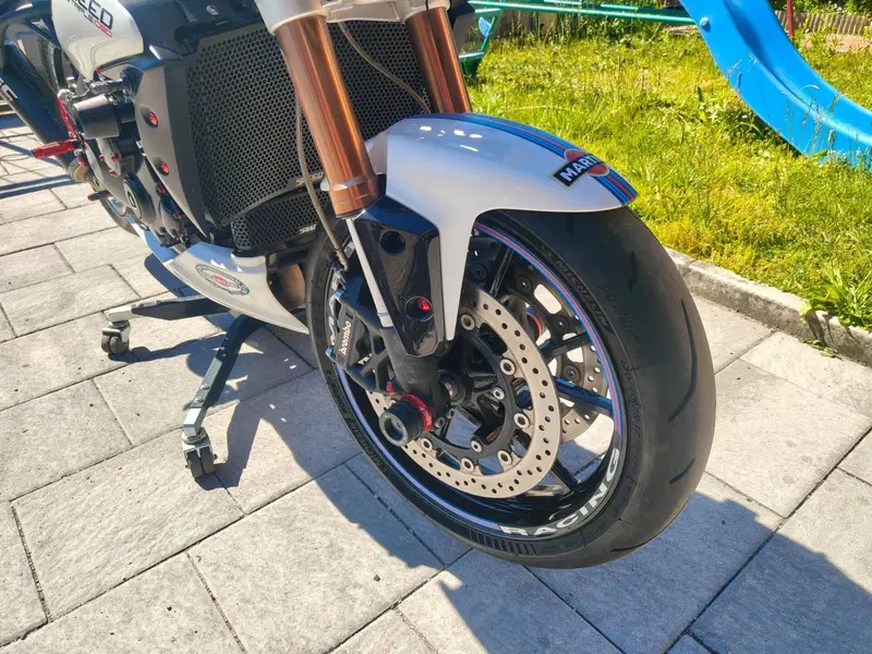 Triumph Speed Triple 1050 (2011 - 13) (6)