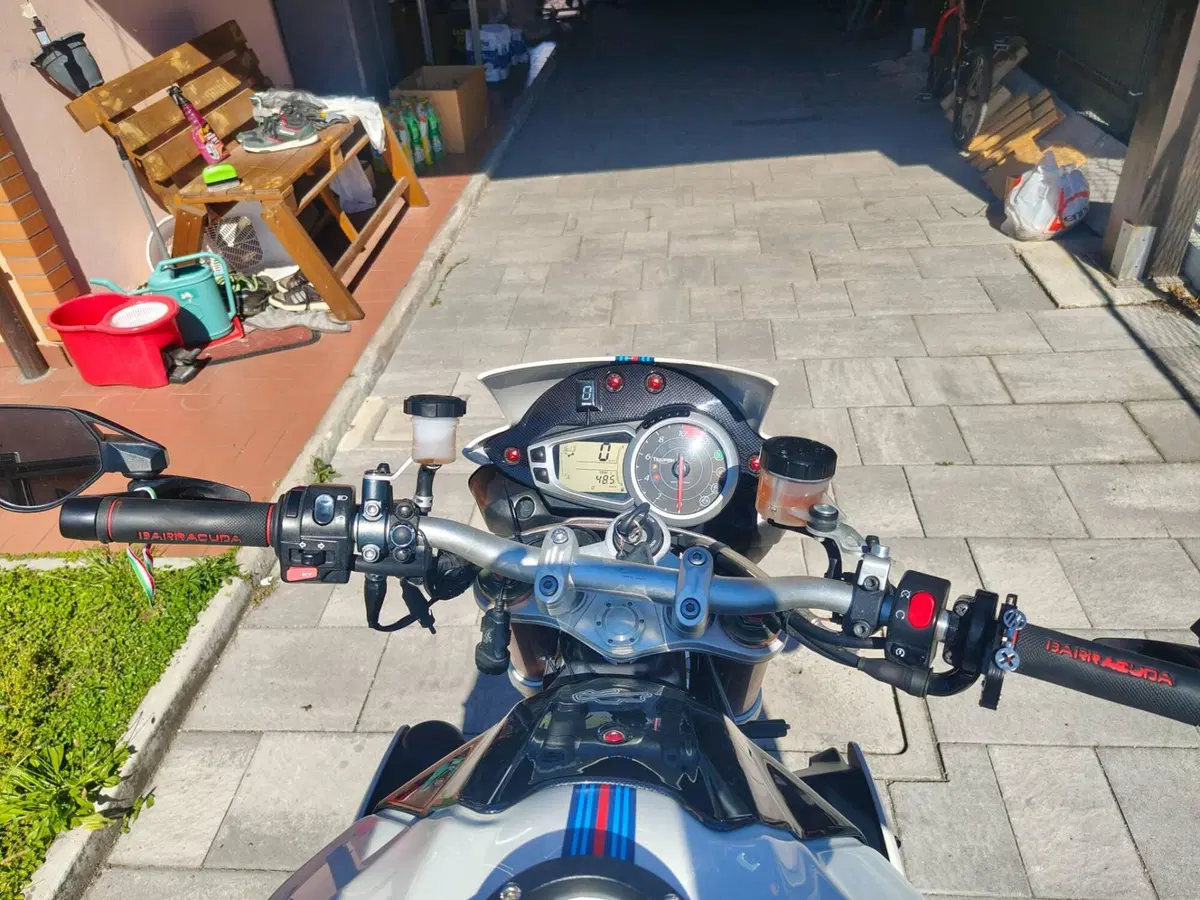 Triumph Speed Triple 1050 (2011 - 13) (8)