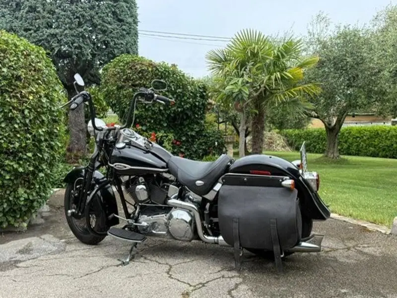 Harley-Davidson 1450 Springer Classic (2005) - FLSTSCI (2)
