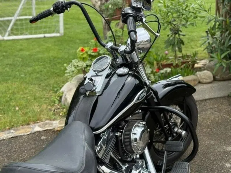 Harley-Davidson 1450 Springer Classic (2005) - FLSTSCI (4)