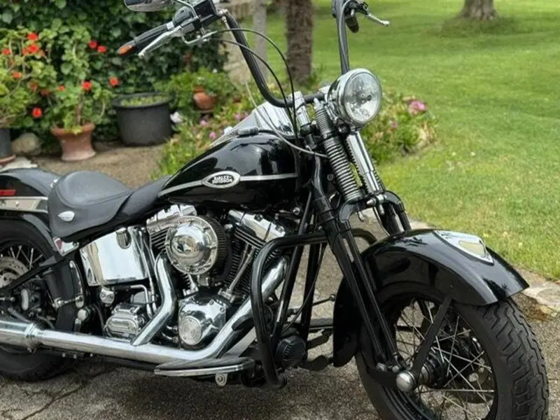 Harley-Davidson 1450 Springer Classic (2005) - FLSTSCI (6)