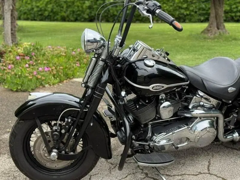 Harley-Davidson 1450 Springer Classic (2005) - FLSTSCI (8)