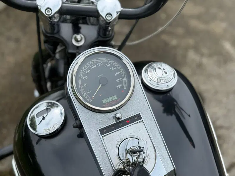 Harley-Davidson 1450 Springer Classic (2005) - FLSTSCI (12)