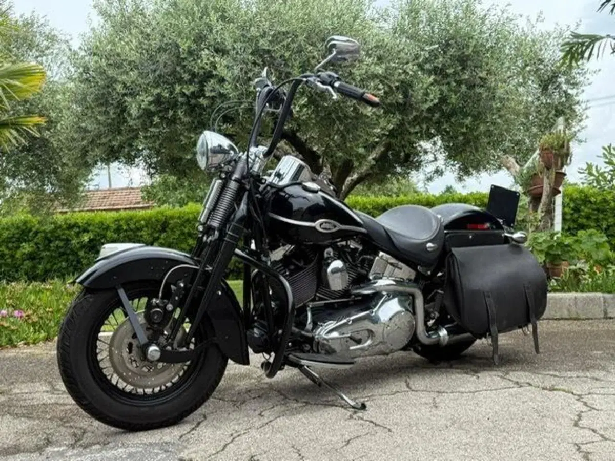 Harley-Davidson 1450 Springer Classic (2005) - FLSTSCI (15)