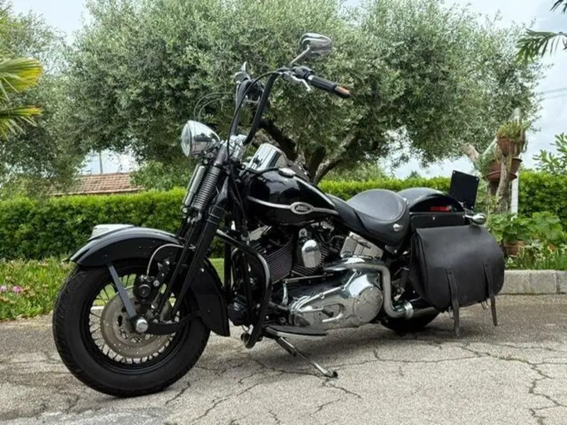 Harley-Davidson 1450 Springer Classic (2005) - FLSTSCI (15)