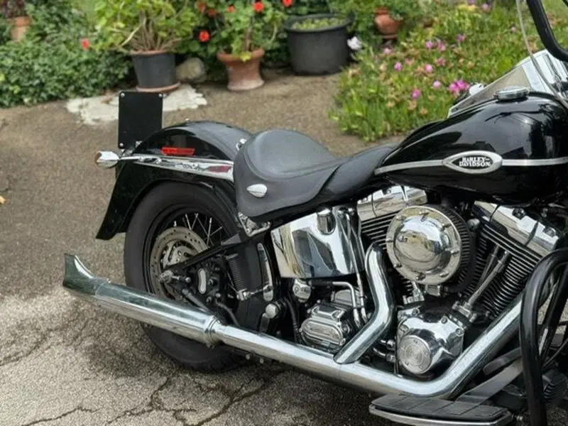 Harley-Davidson 1450 Springer Classic (2005) - FLSTSCI (16)