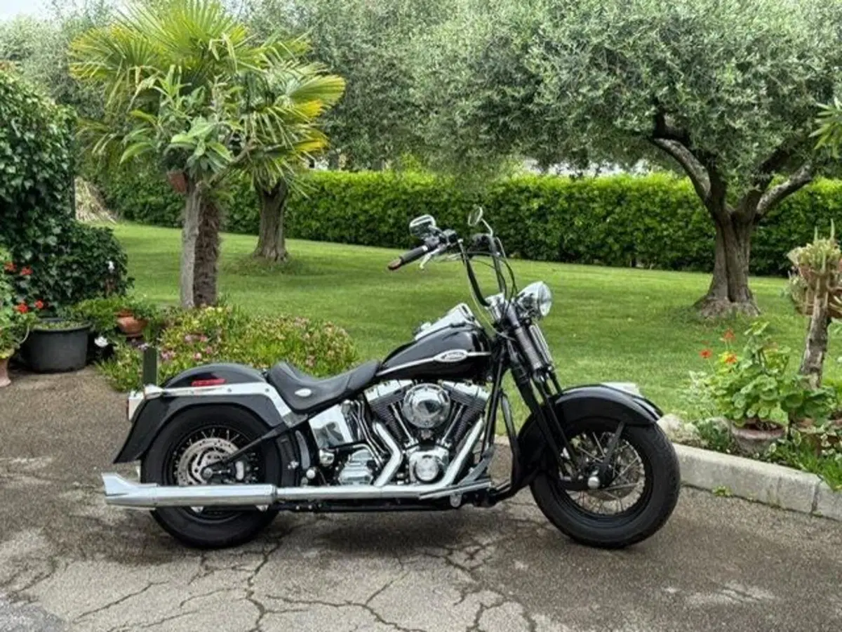 Harley-Davidson 1450 Springer Classic (2005) - FLSTSCI (18)