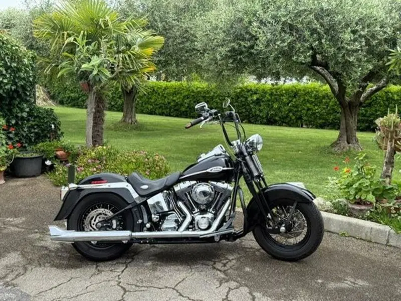 Harley-Davidson 1450 Springer Classic (2005) - FLSTSCI (18)