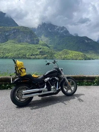Harley-Davidson Softail Standard (2021 - 25) usata
