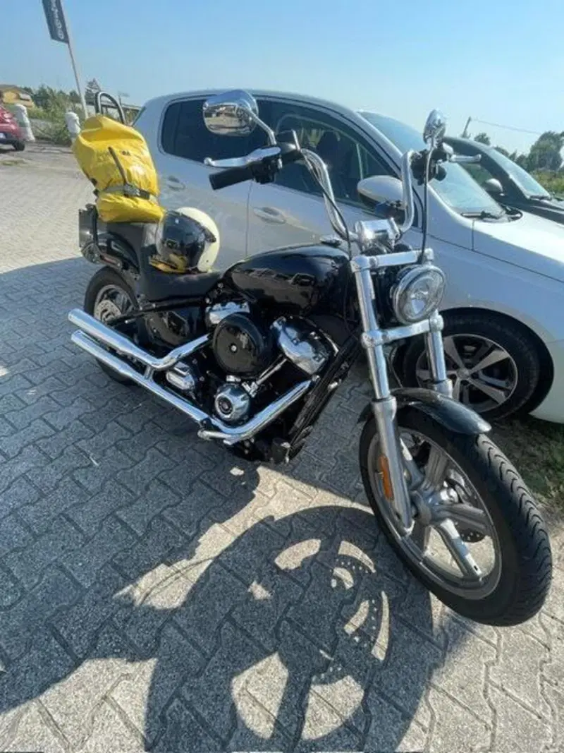 Harley-Davidson Softail Standard (2021 - 25) (2)