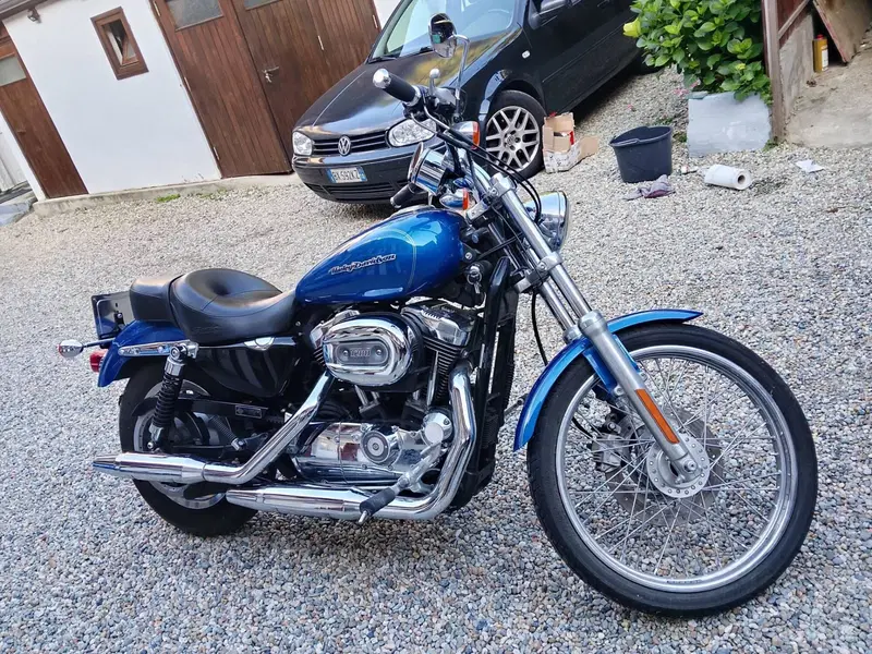 Harley-Davidson 1200 Custom (2007 - 13) - XL 1200C (2)
