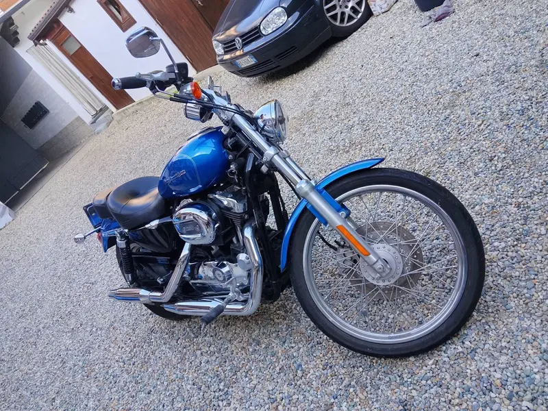Harley-Davidson 1200 Custom (2007 - 13) - XL 1200C (3)