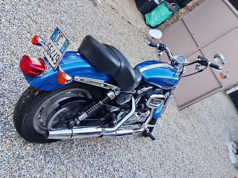 Harley-Davidson 1200 Custom (2007 - 13) - XL 1200C (6)