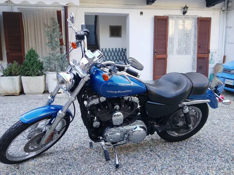 Harley-Davidson 1200 Custom (2007 - 13) - XL 1200C (9)
