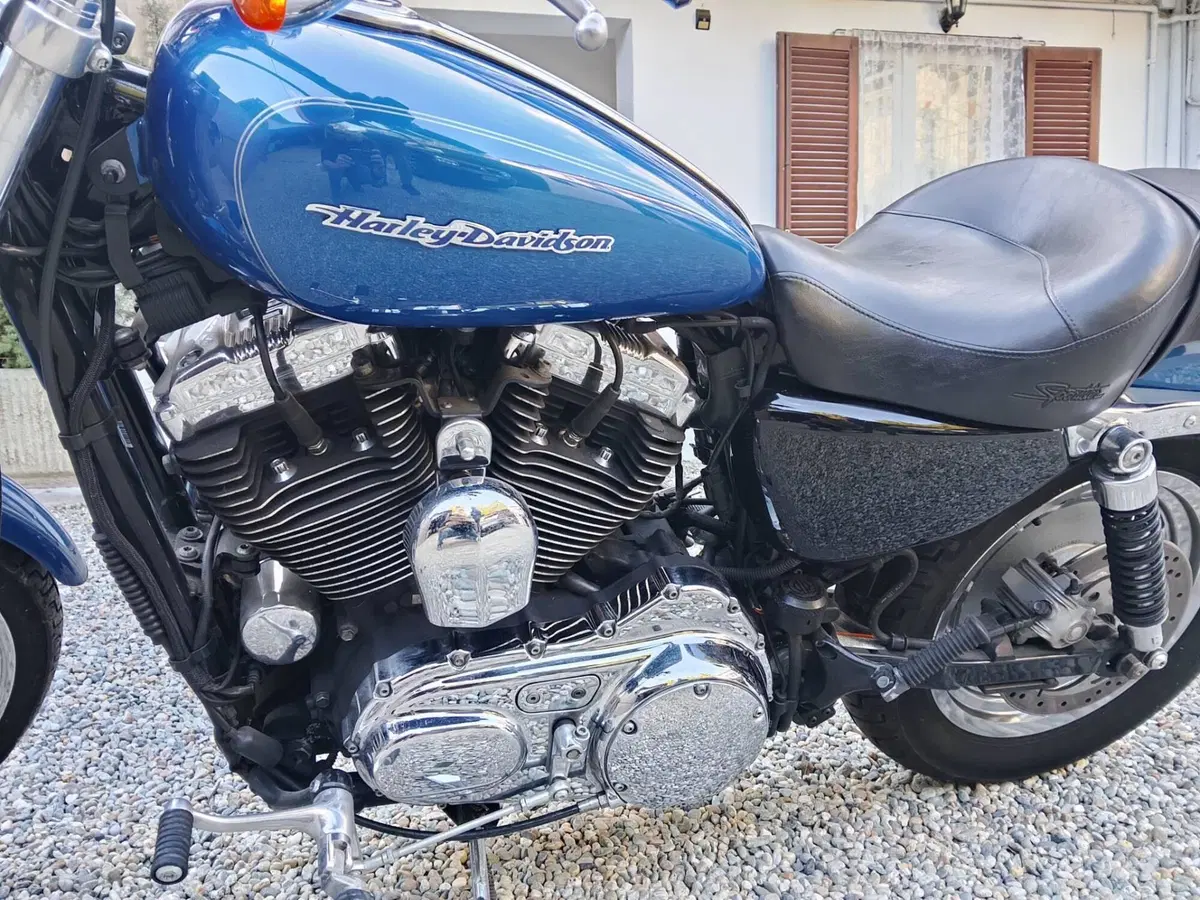 Harley-Davidson 1200 Custom (2007 - 13) - XL 1200C (10)